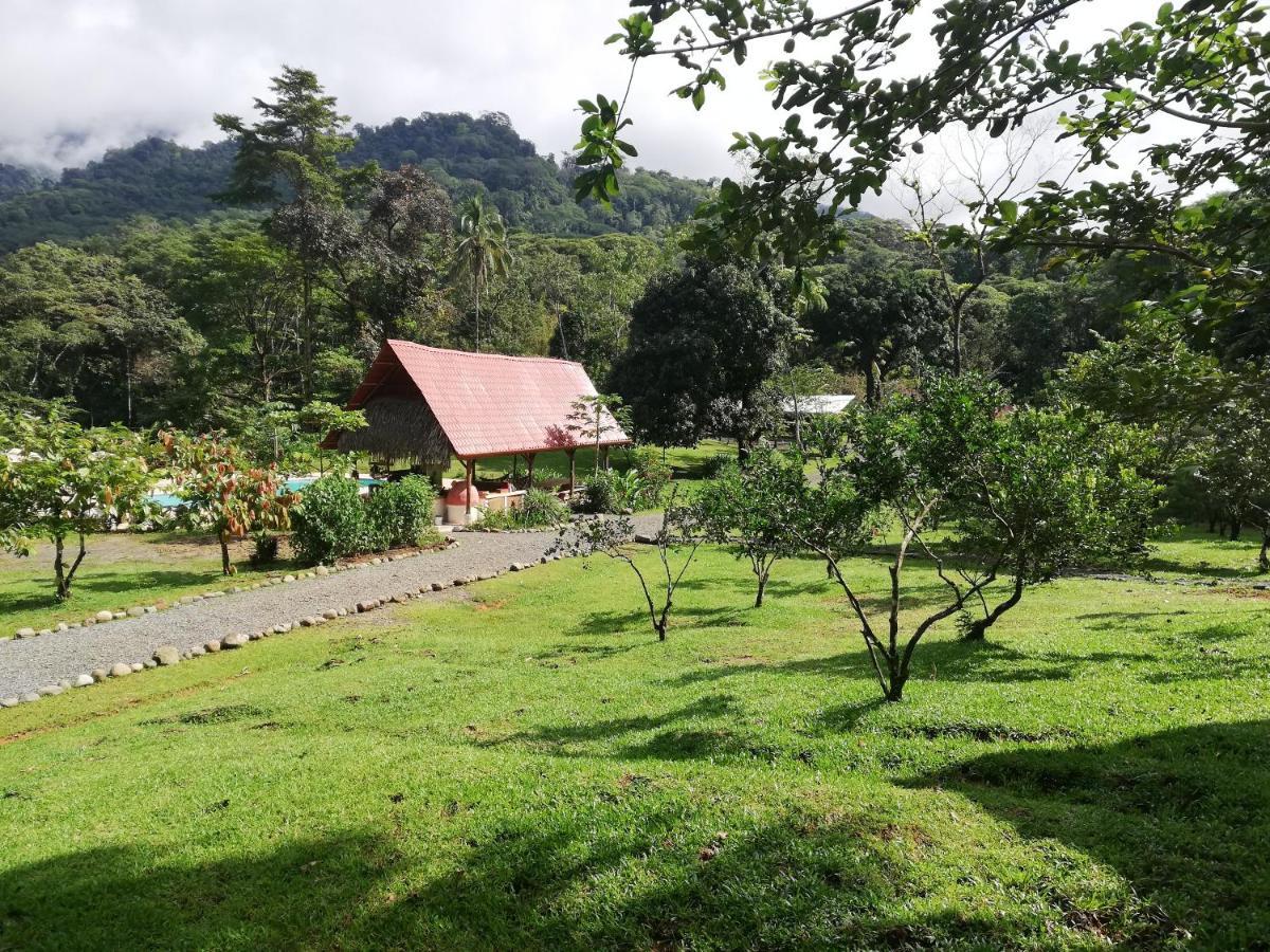 Hacienda Mil Bellezas - Private 40Ha Jungle Reserve Quepos Exterior foto